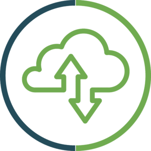 Data Backup and Recovery​